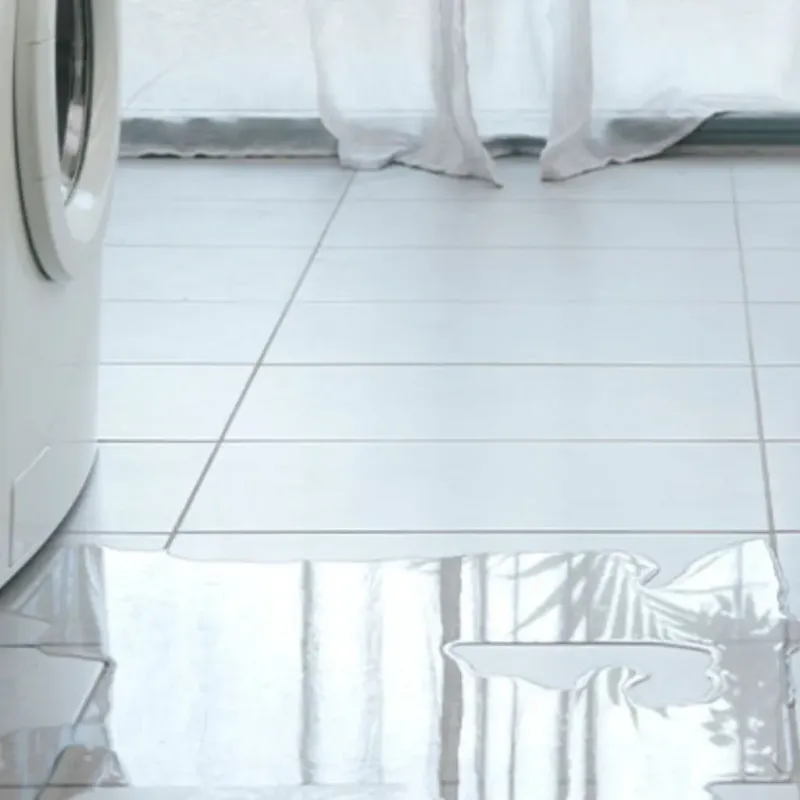 Appliance Leak Cleanup in Alvarado, TX