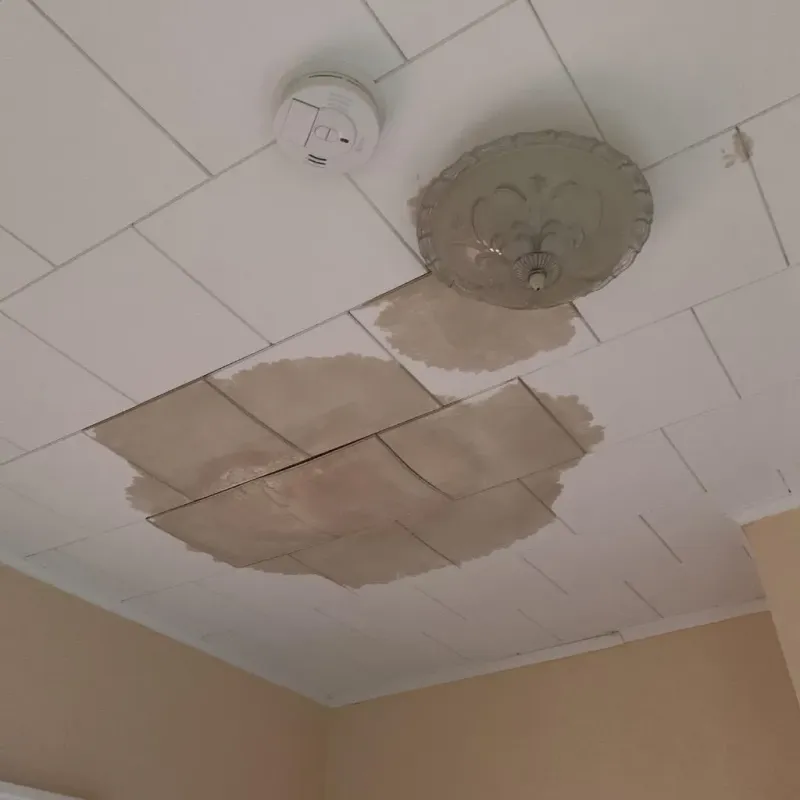 Ceiling Water Damage Repair in Alvarado, TX