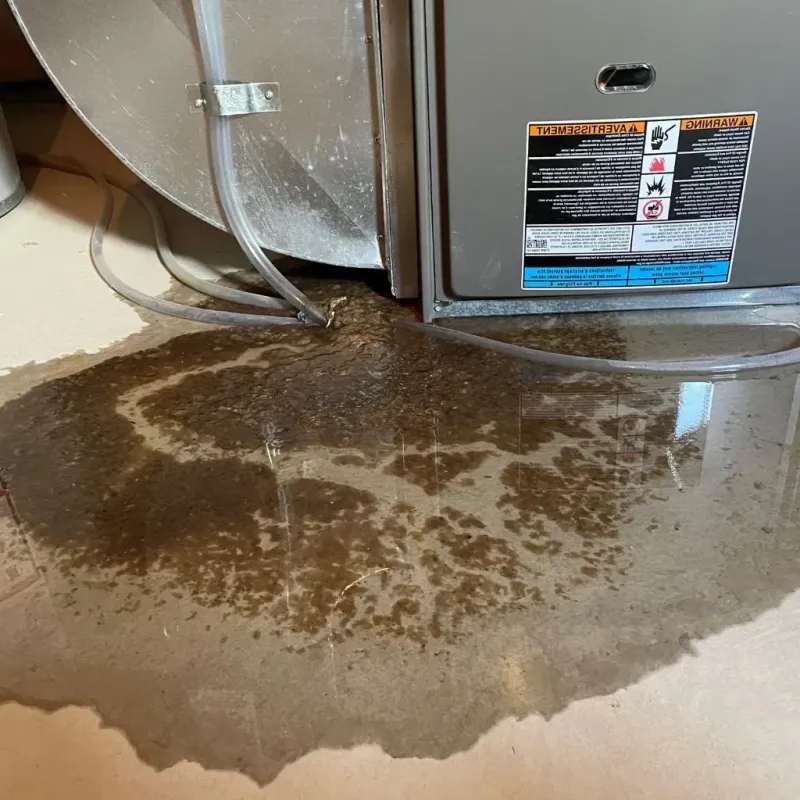 Pipe Burst and Leak Restoration in Alvarado, TX