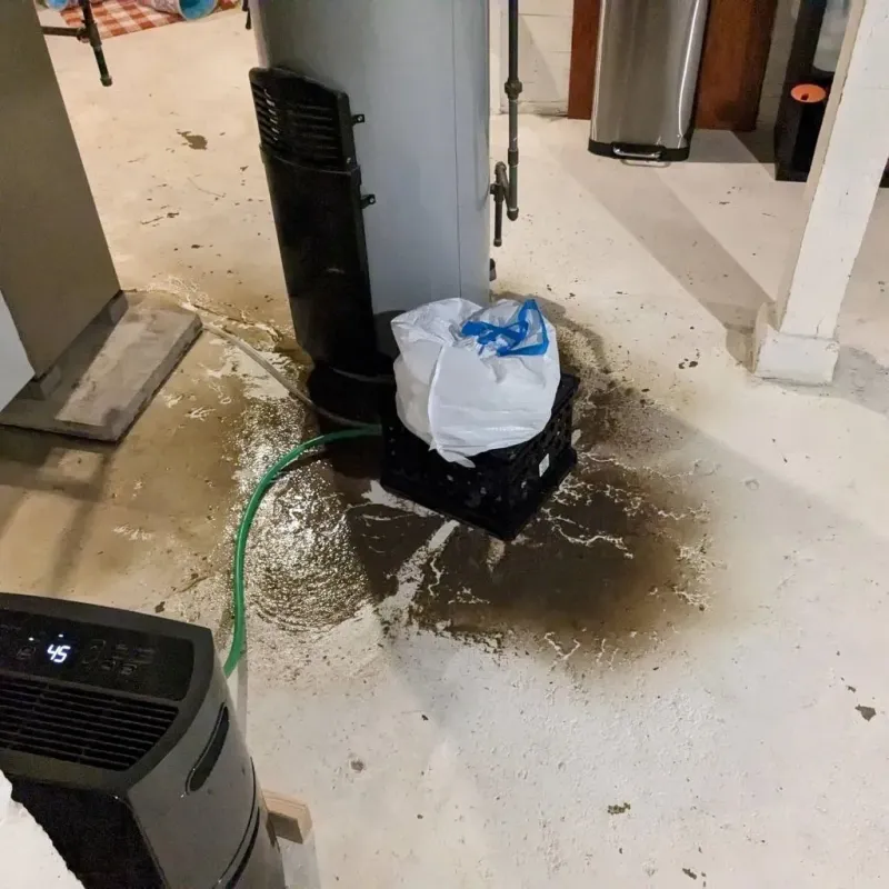 Sewage Backup Cleanup Service in Alvarado, TX